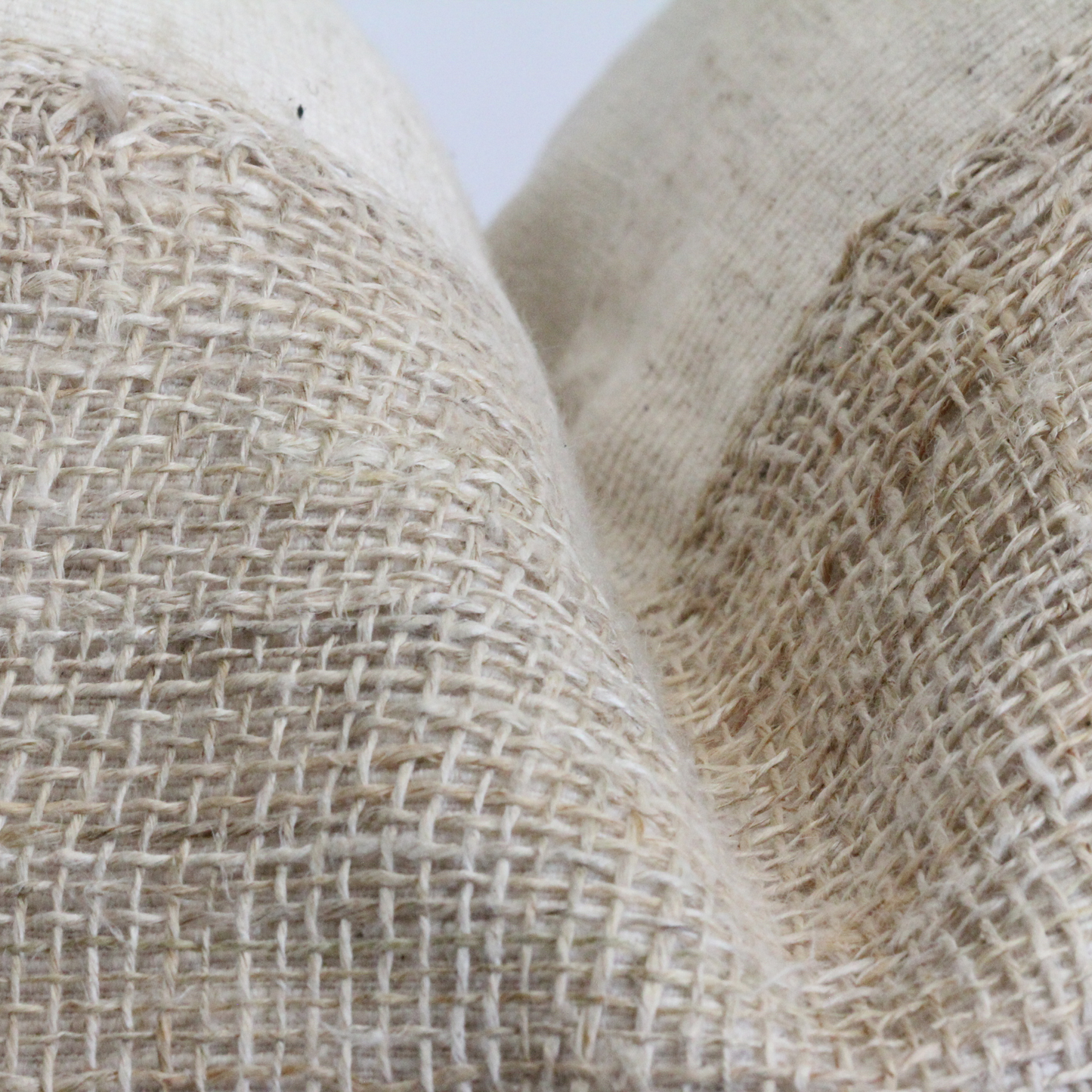 Cora Cushion