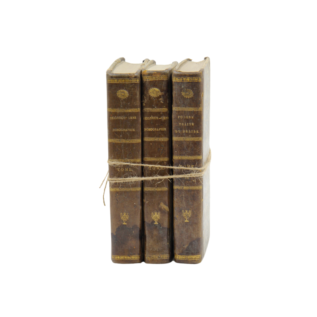 Antique French Medical Books (set of 3)