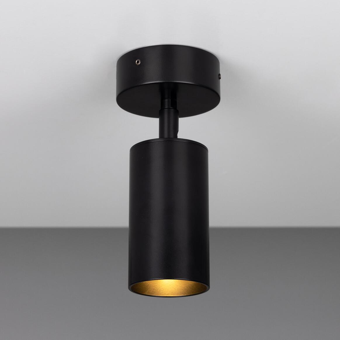 Evanston Ceiling Adjustable Spotlight