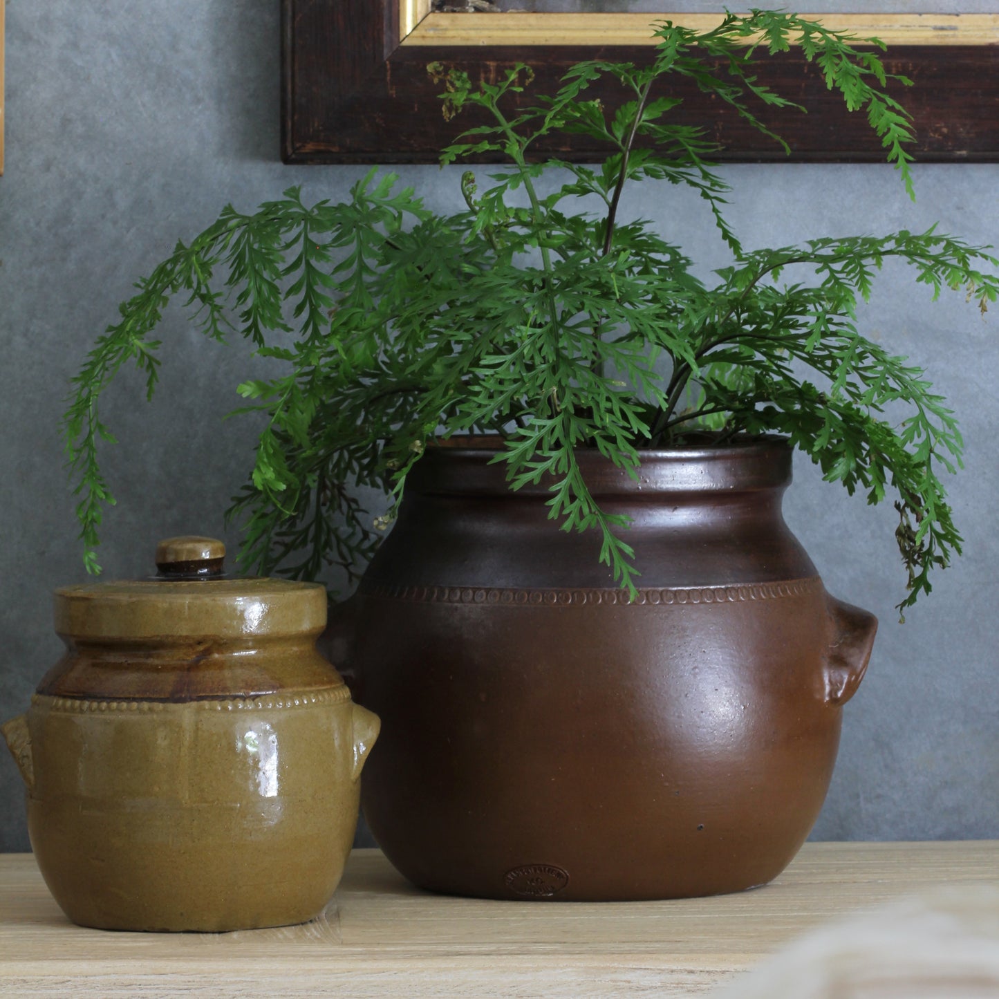 Mini Olive Pot
