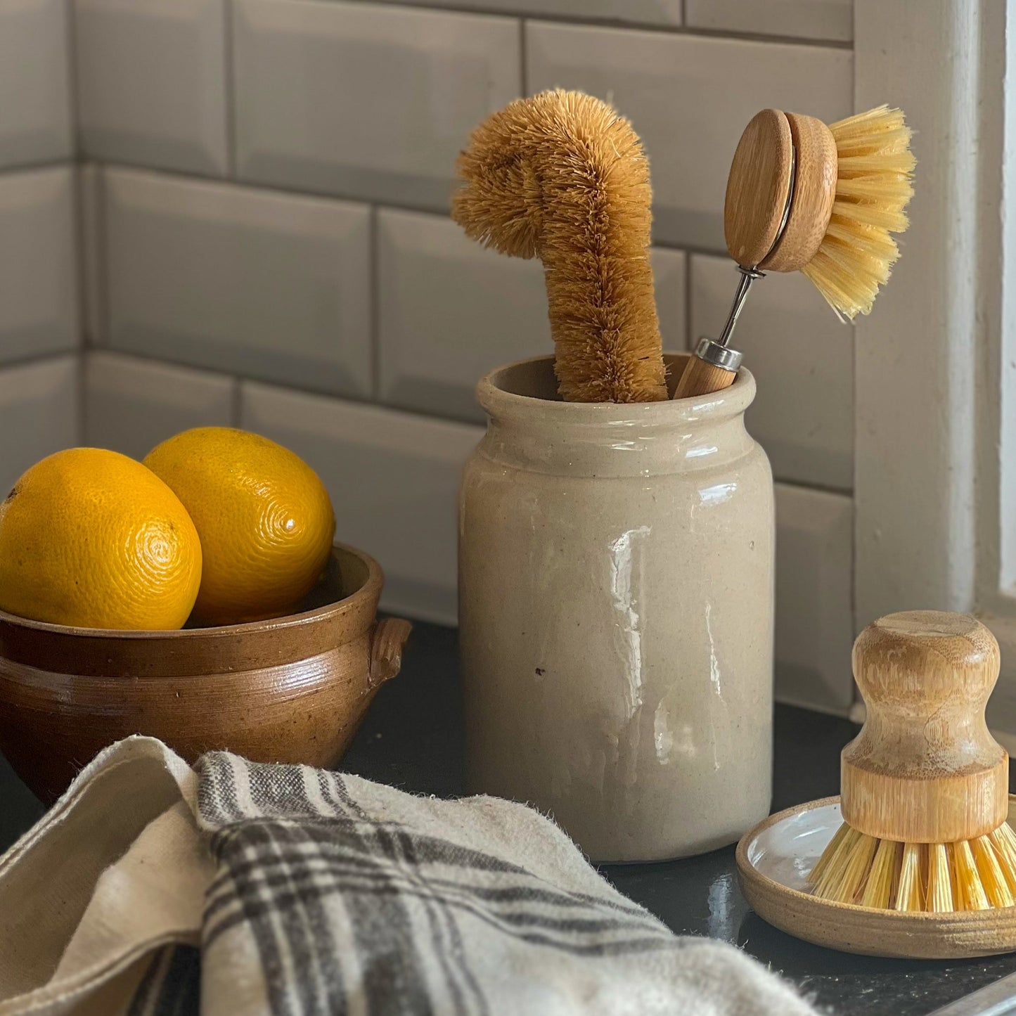 Long Handle Dish Brush