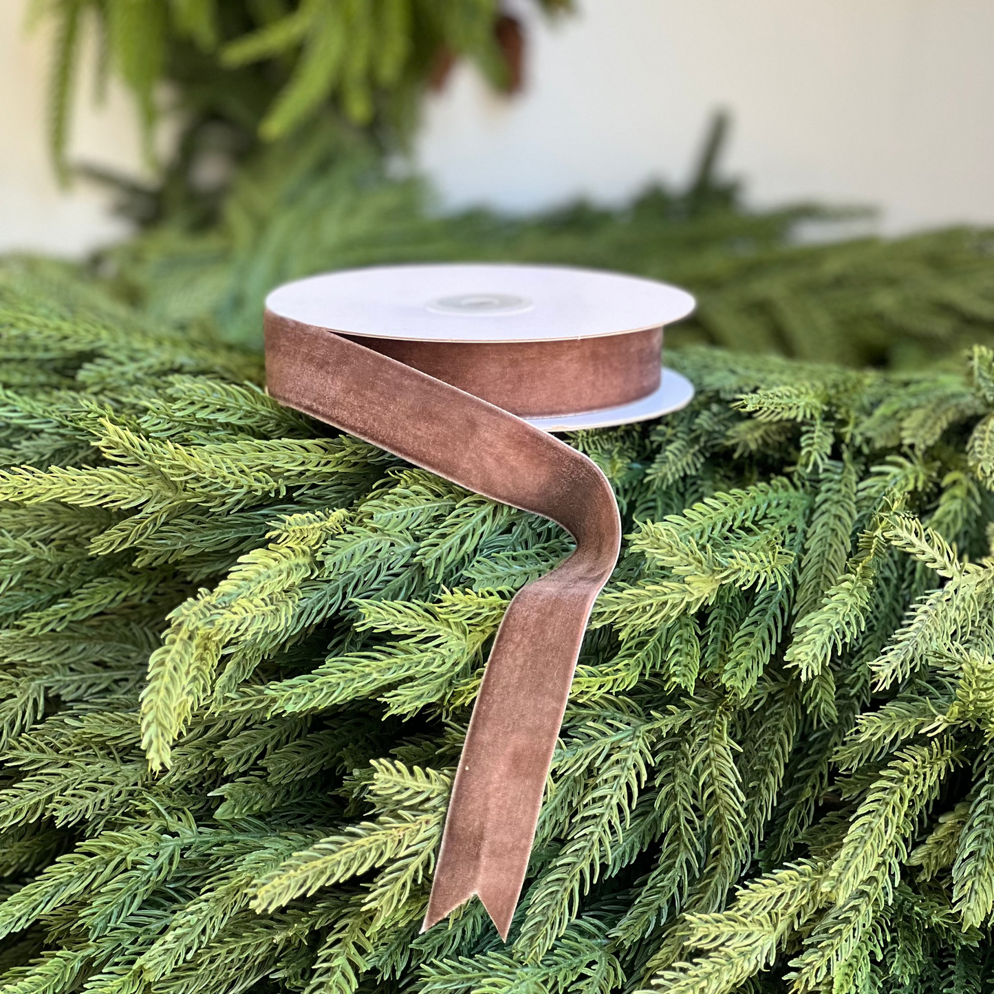 25mm Nutmeg Ribbon Roll