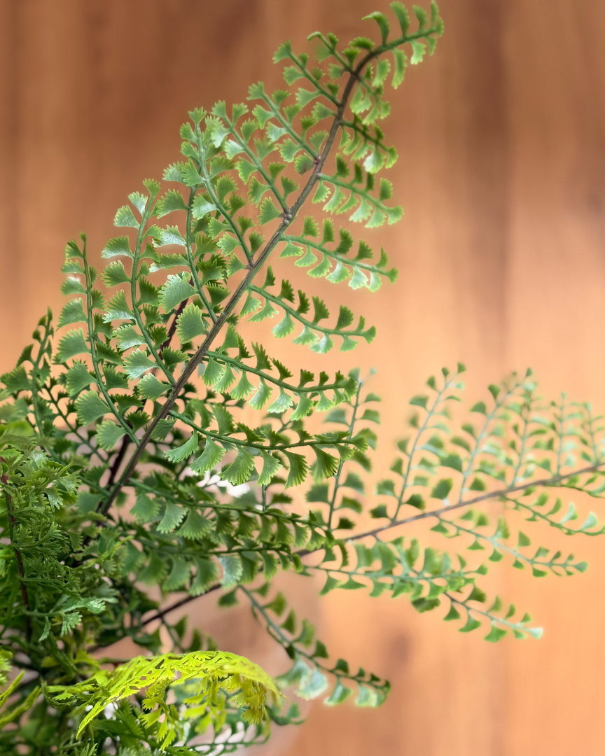 Faux Lace Fern