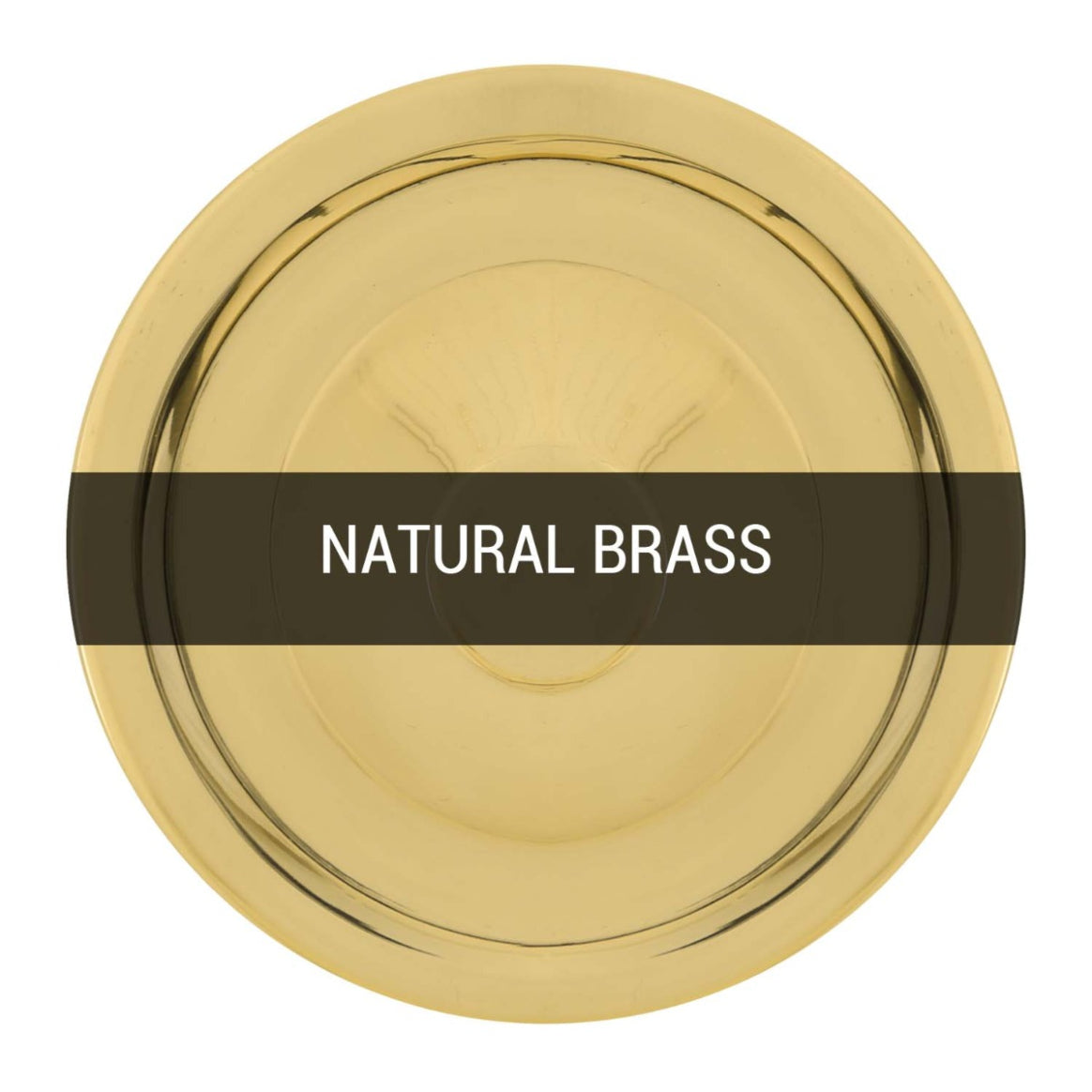 Nerissa Swan Neck Wall Light IP65