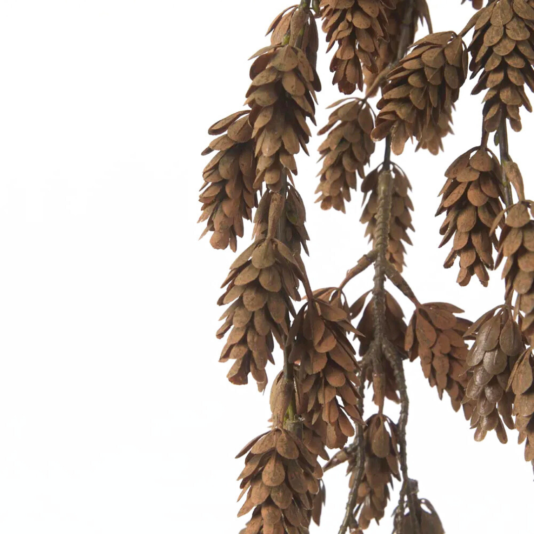 Hanging Pinecone Branch