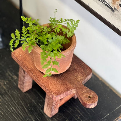 Marin Mini Timber Pedestal