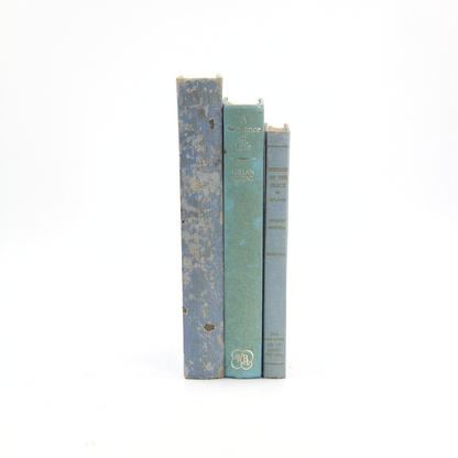 Antique Book Stack - Aqua