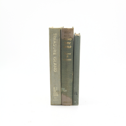 Antique Book Stack - Seafoam