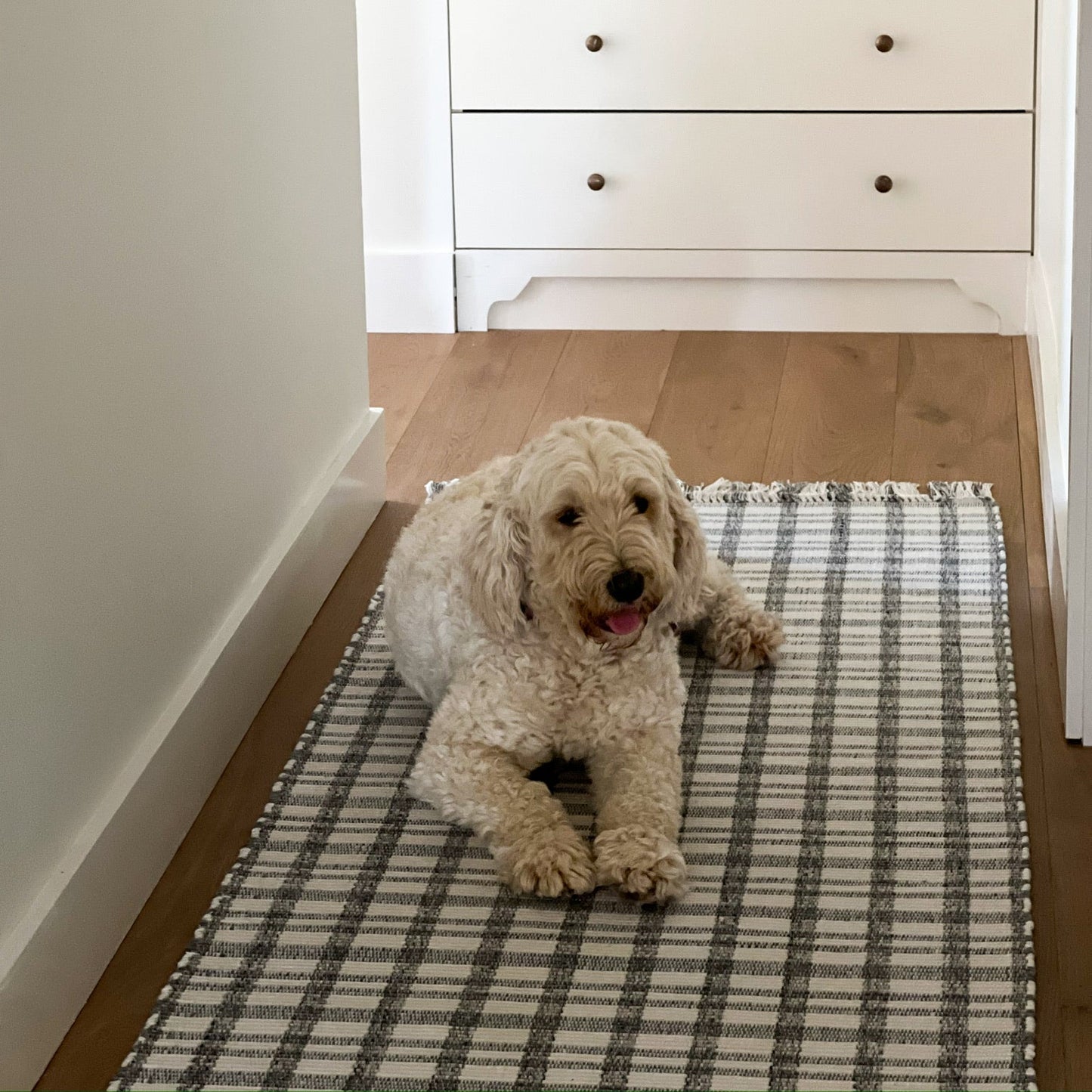 Beckett Handwoven Indoor-Outdoor Rug