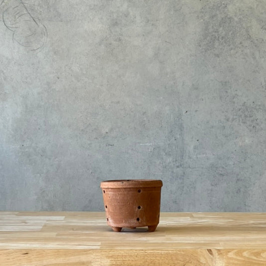 Terracotta pot on a wooden table with a gray concrete wall background