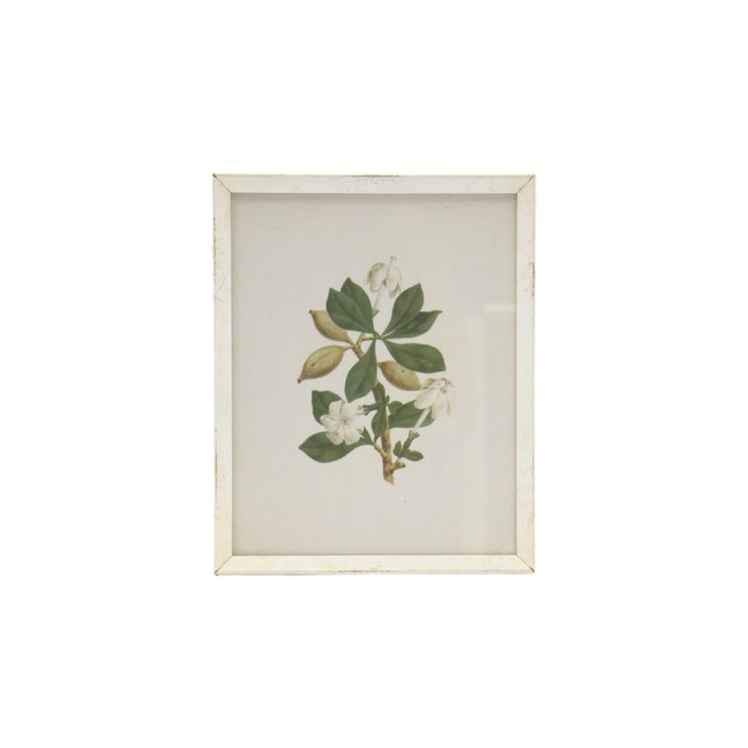 Botanical Print I - Gardenia