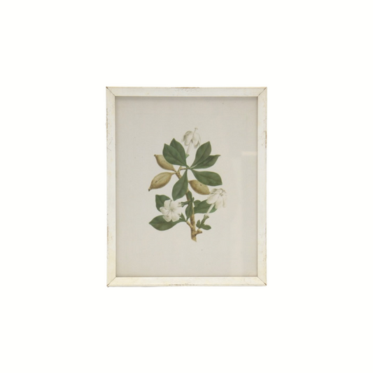 Botanical Print I - Gardenia