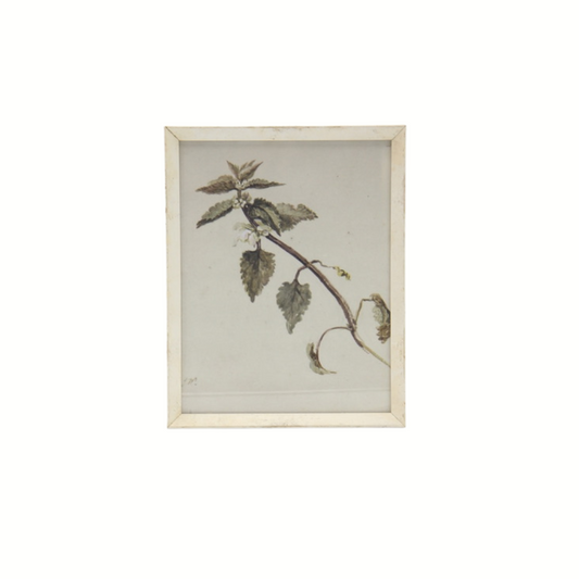 Botanical Print II - Foliated Branch