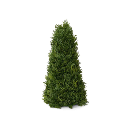 Cypress Tabletop Tree 43cm