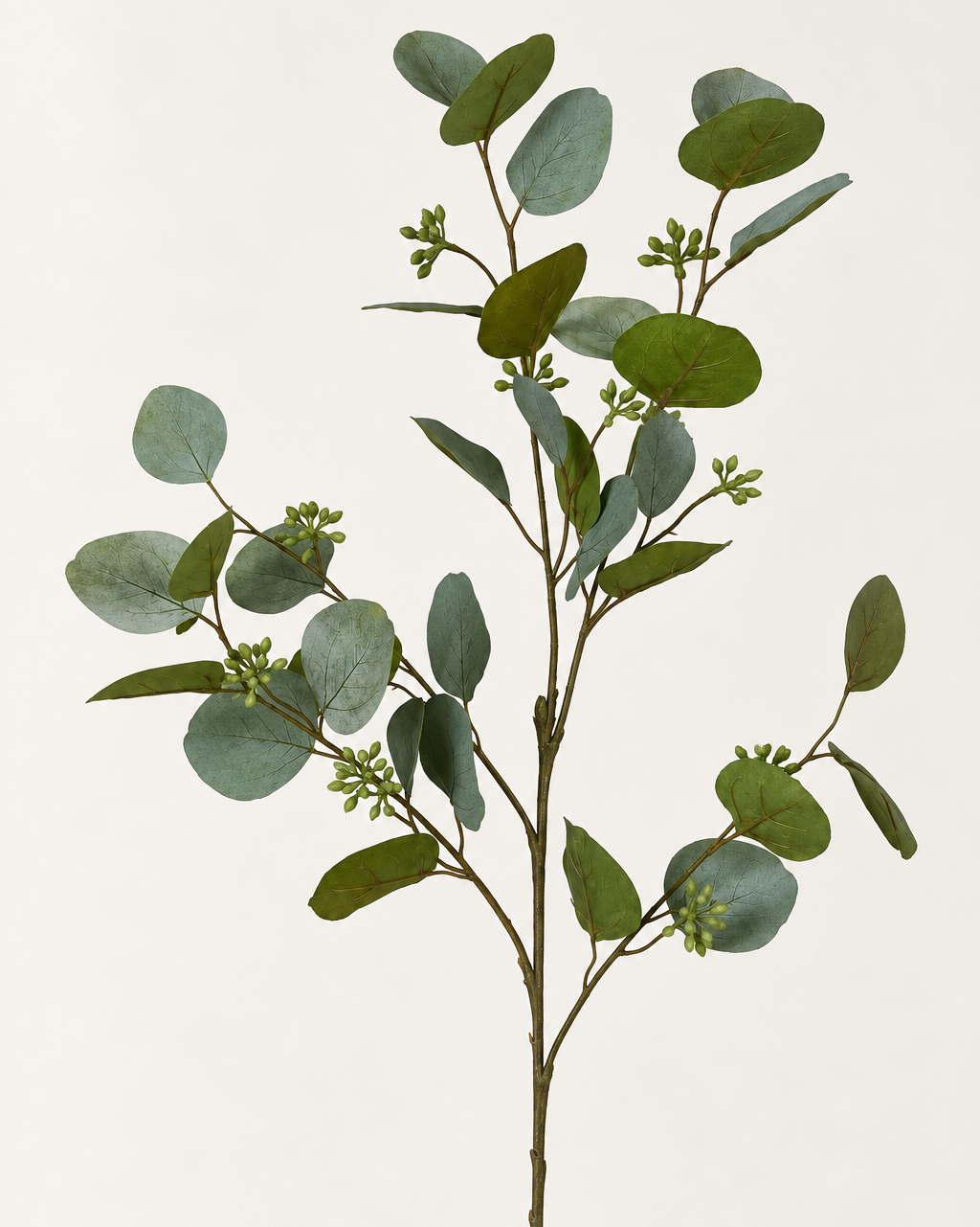Seeded Eucalyptus Stem | 87cm