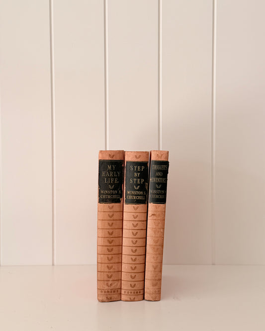 Antique & Vintage Decorative Book Stack | Churchill