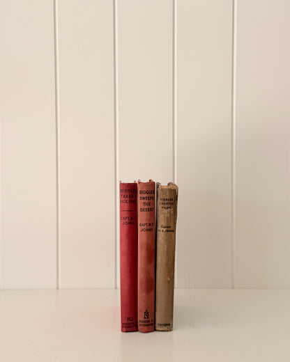 Antique & Vintage Decorative Book Stack | Biggles