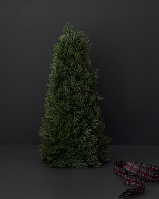 Cypress Tabletop Tree 43cm