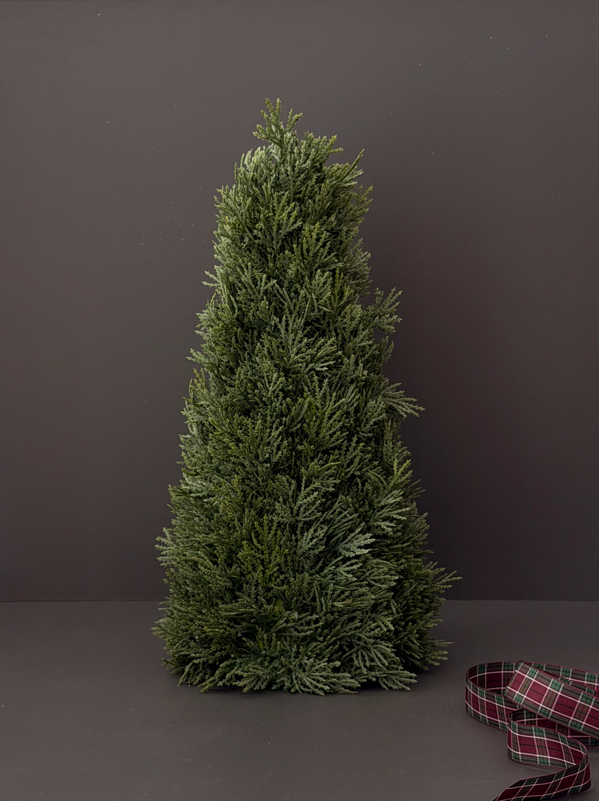 Cypress Tabletop Tree 43cm