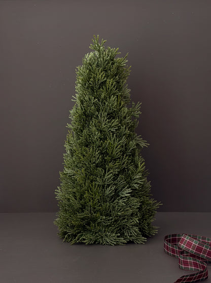 Cypress Tabletop Tree 43cm
