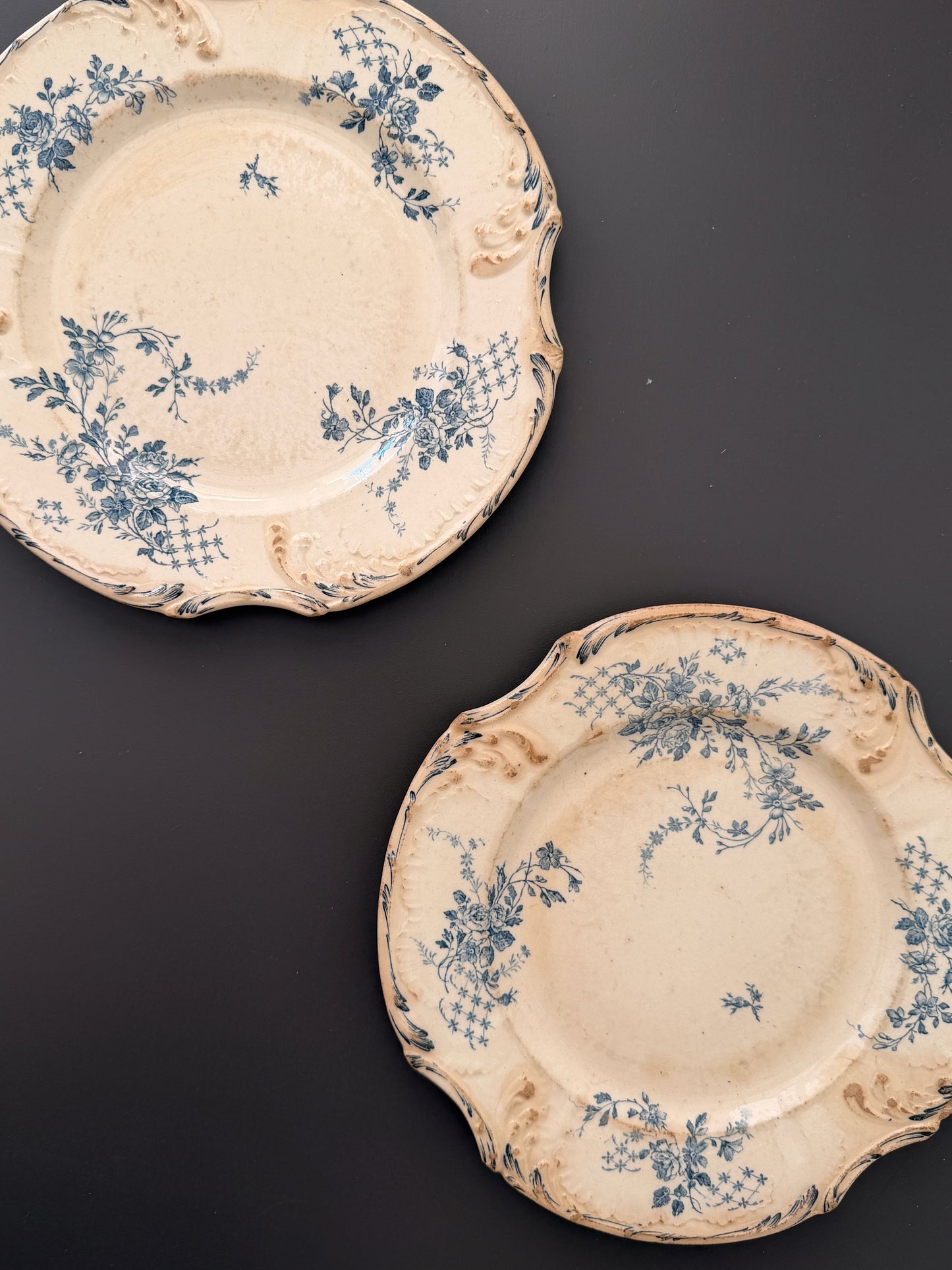 Pair of Antique French Gien Terre de Fer Floral Plates