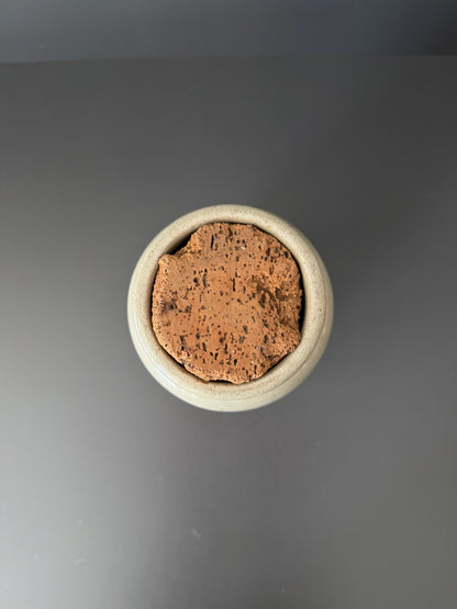 Antique French Stoneware Preserve Jar