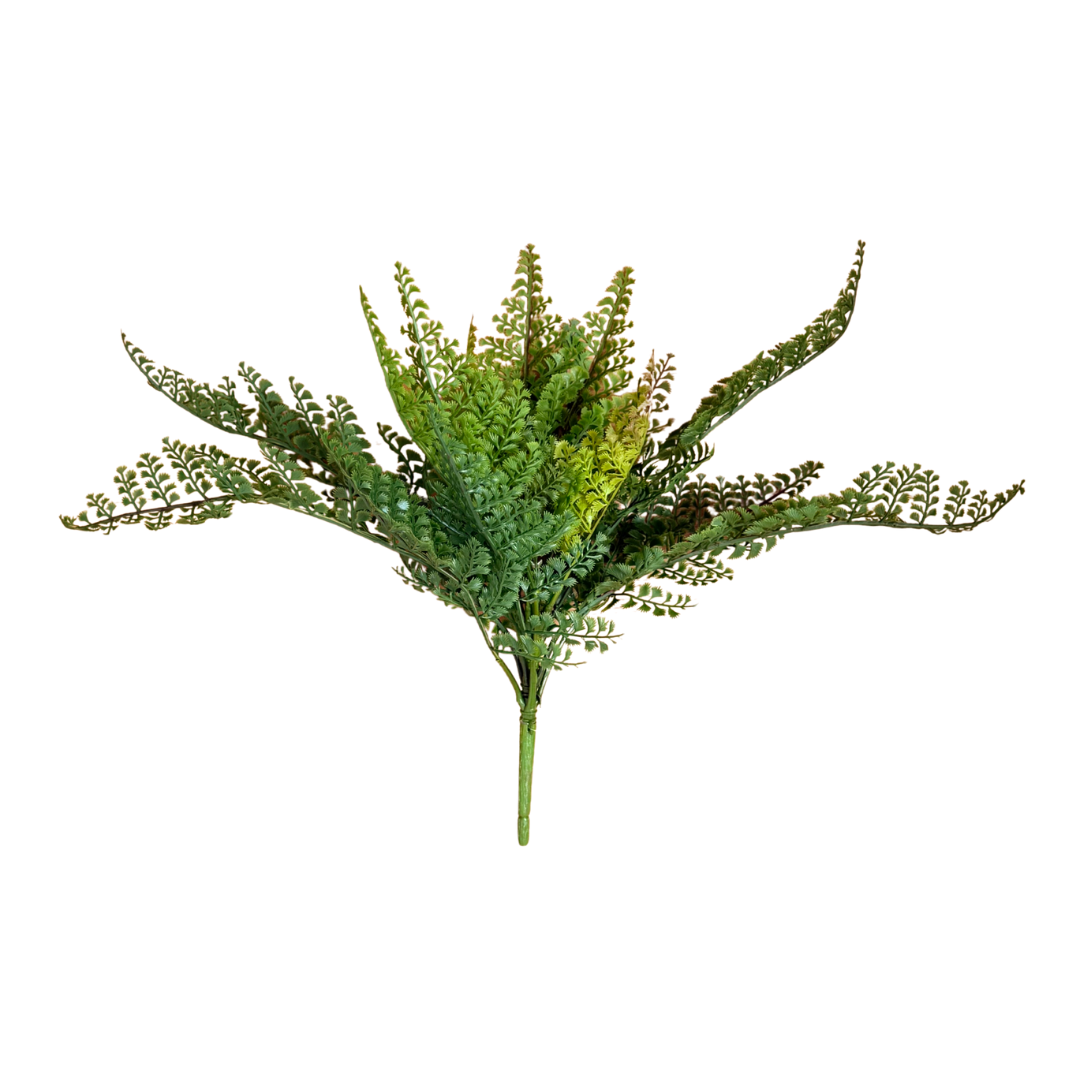 Faux Lace Fern