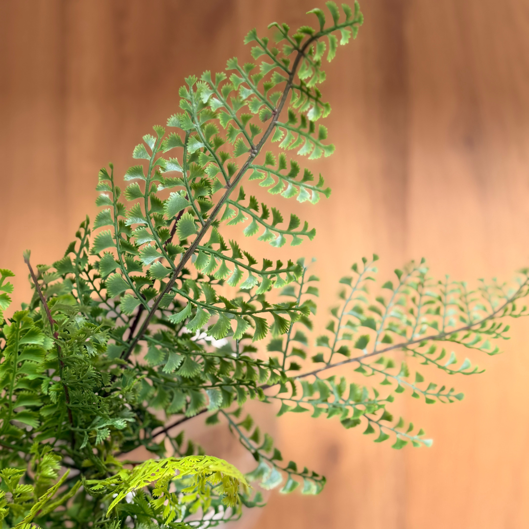 Faux Lace Fern