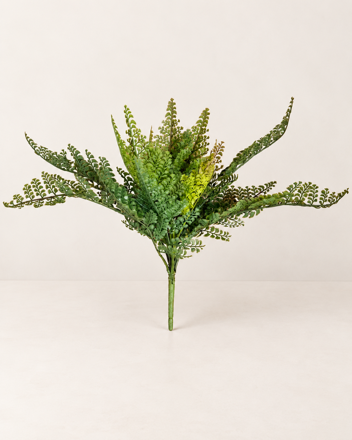 Faux Lace Fern