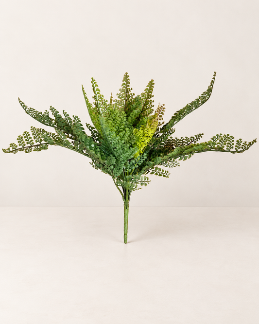 Faux Lace Fern