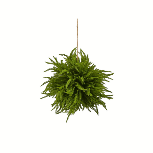 Norfolk Pine Ball