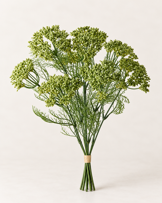 Queen Annes Lace Bundle | Green | 42cm