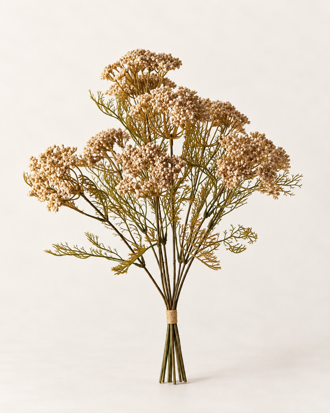 Queen Annes Lace Bundle | Nude | 42cm