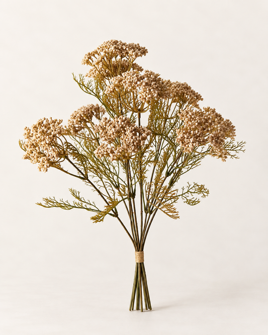 Queen Annes Lace Bundle | Nude | 42cm