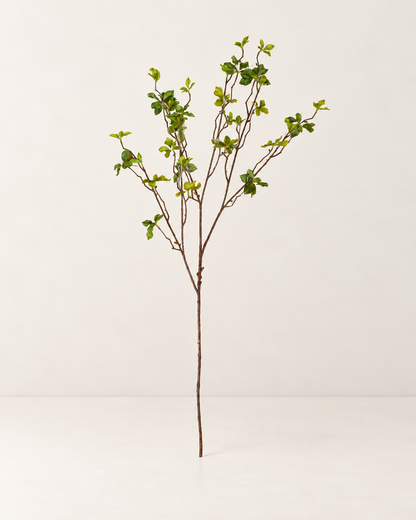 Faux Quince Foliage Branch