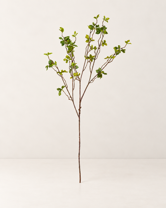 Faux Quince Foliage Branch