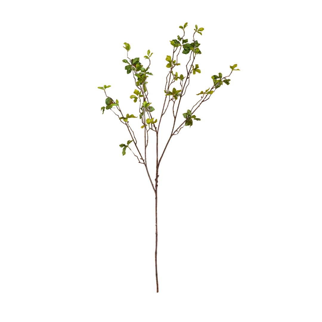 Faux Quince Foliage Branch