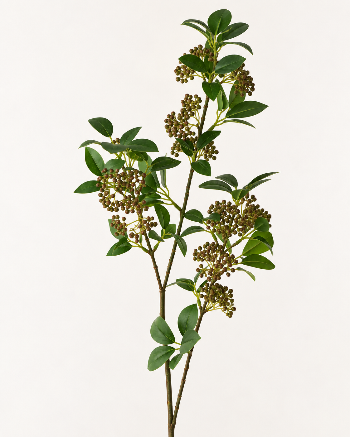 Seed Leaf Spray | 87cm